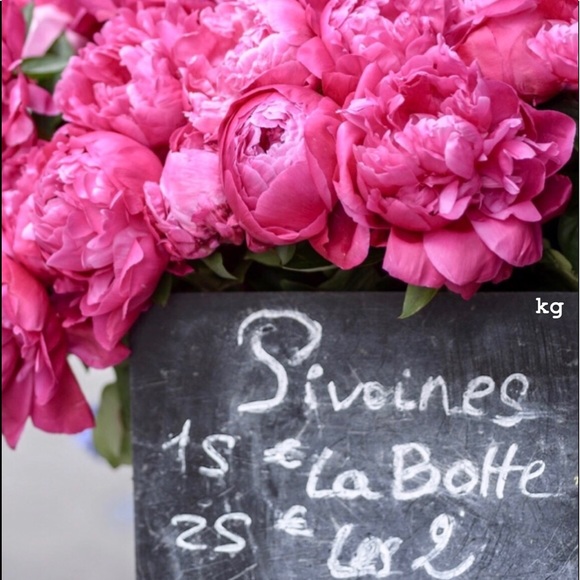 🌺 Meet your Posher, Kiki - Picture 14 of 14